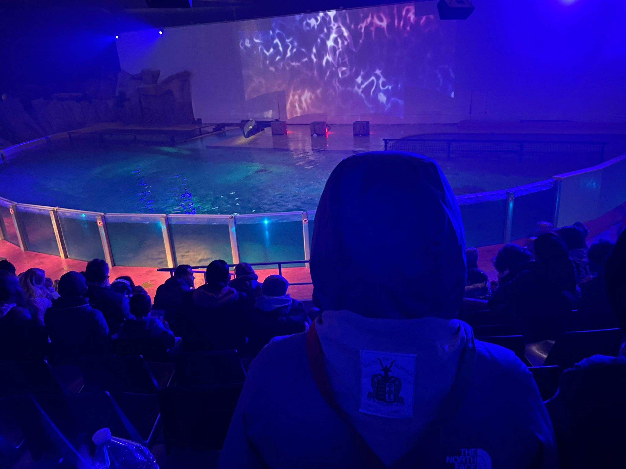 Sint-Martinus den XIIde - Winterkamp JVK 2024